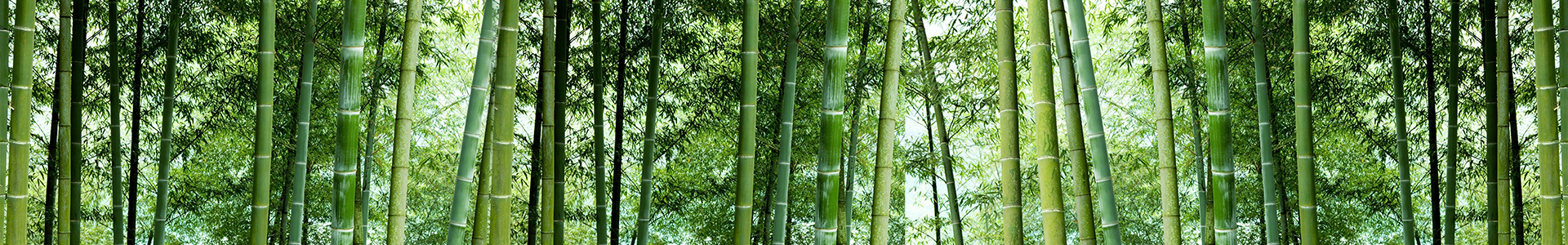 使用說明